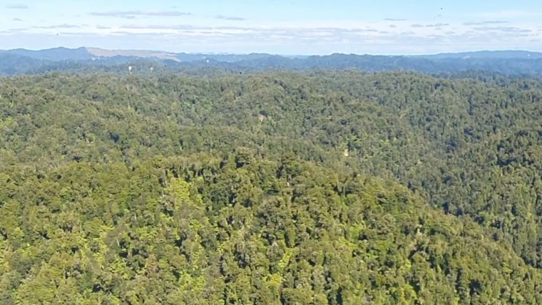 Aerial photo of the Matemateaaonga ranges covered in native bush.