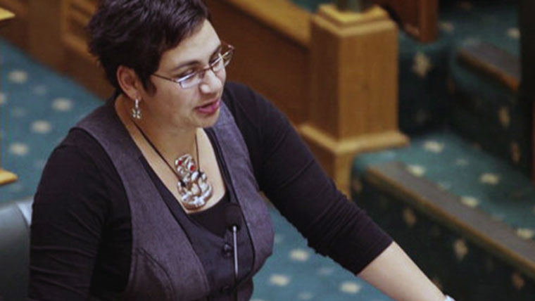 Metiria Turei inside the Debating chambers in parliament