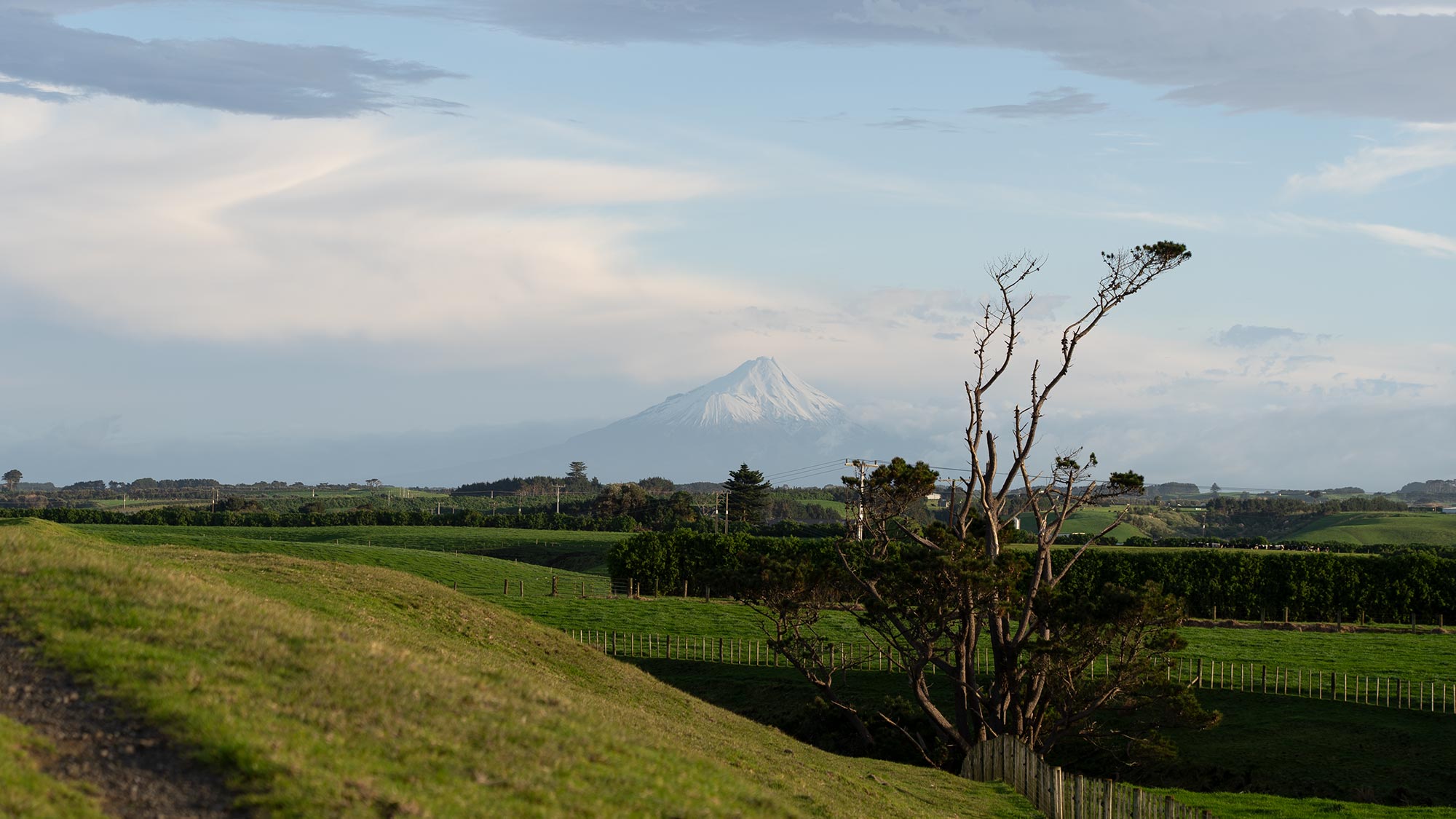 Taranaki Maunga with farm land in the foreground.