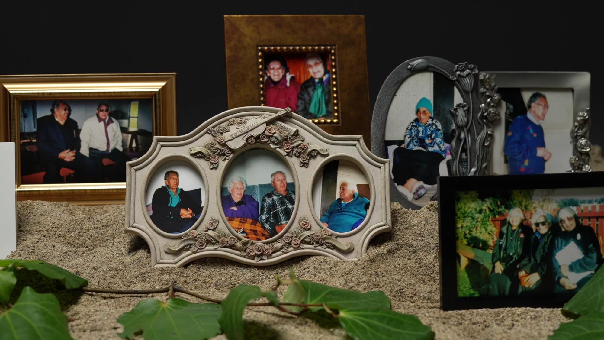 A collection of framed photos of older deceased people on a carpet with kawakawa in the forground.