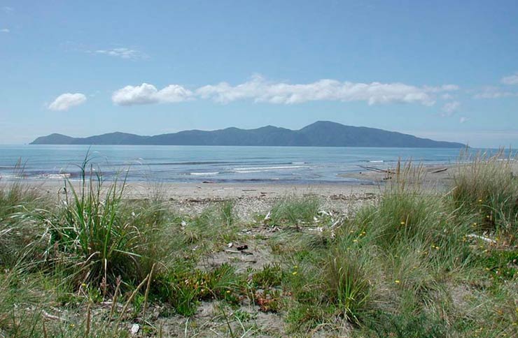 View of an island taken from the dunes of a sandy beach.