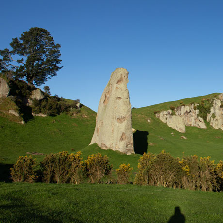 Large rock in a paddock with gorse in the foreground.