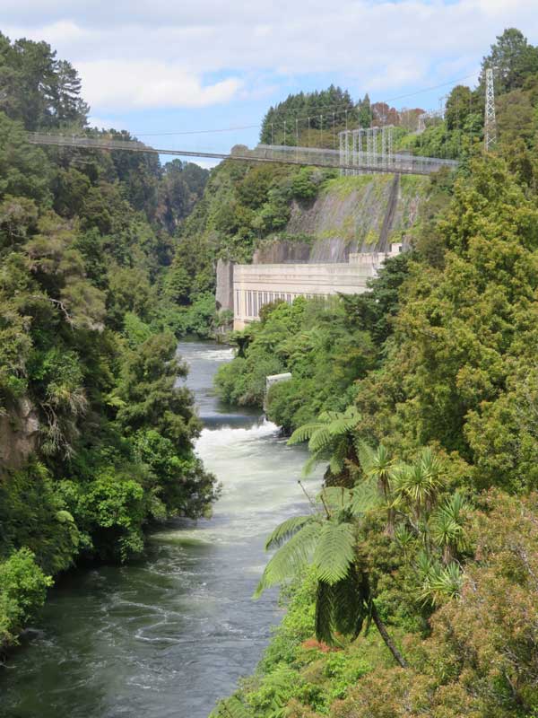 River gorge surrounded by bush with a swing bridge and dam.