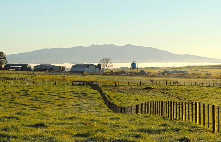 Paddocks and marae buildings with with mountain rising up  from fog in the background