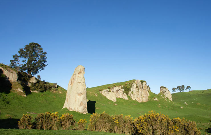 Large rock in a paddock with gorse in the foreground.