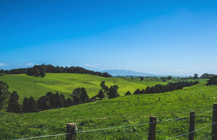 Mountain rising up behind rolling countryside.