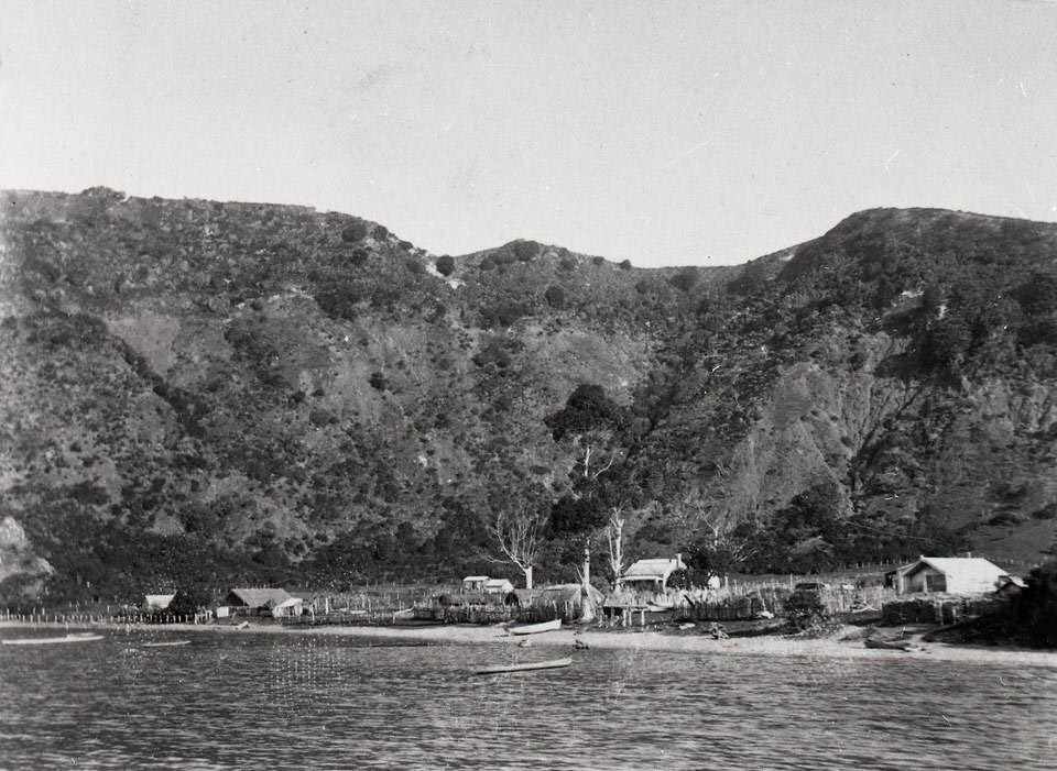 Wairaka in 1900. Print taken from a glass plate.